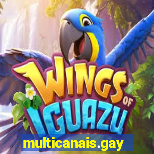 multicanais.gay