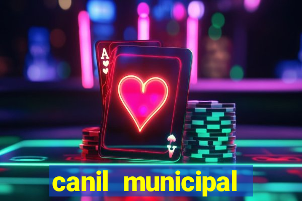 canil municipal porto alegre